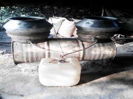 Many homes weeds , Siskian were breaking silence