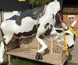 hindu janjagriti samiti asked security for cow owners in faridabad