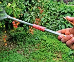 now without degree you will not get lisence for pesticide shop