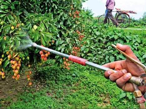 Farmers in Himachal Using Pesticides Which Are Banned in United States of America.