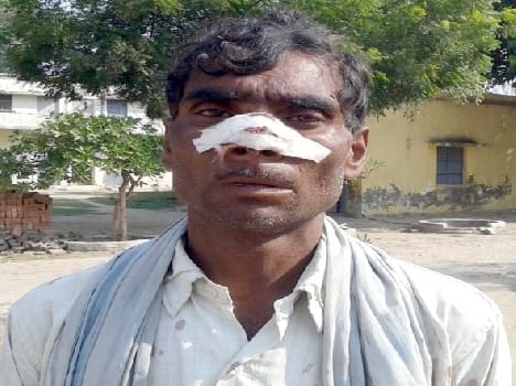 First cane harvested nose blew again