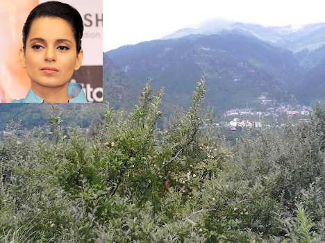Bollywood Actress Kangna Ranaut Sweet Home in Manali.