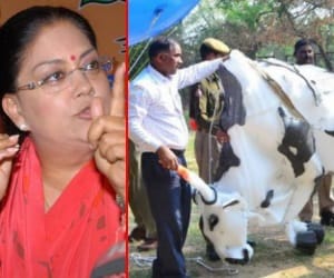 After assaulting the artist Raje regrets to him
