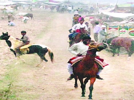 The time of the full moon will be on two losses Chaubari Mela- bath