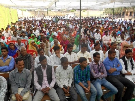 590 candidate in election