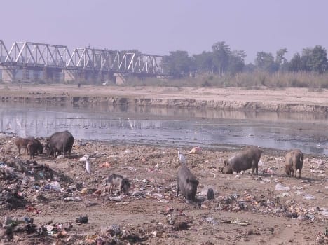 When will finally devahuti Ganga 's salvation