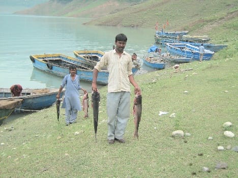 award to fishery department of himachal govt.