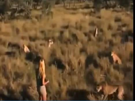 girl fends off 10 leopards 