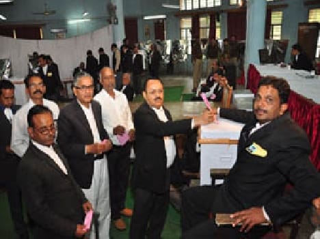 Eighty per cent of the vote advocates