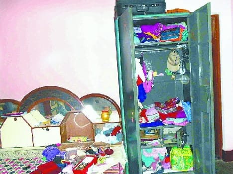 The thieves raided two homes
