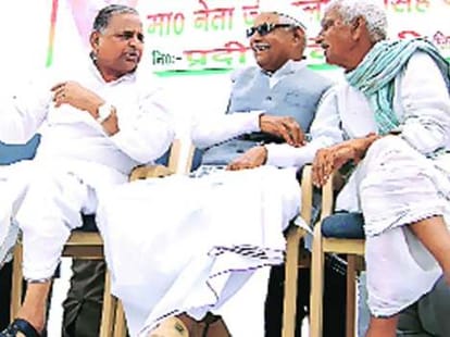 darshan singh yadav elected as gram pradhan of saifai