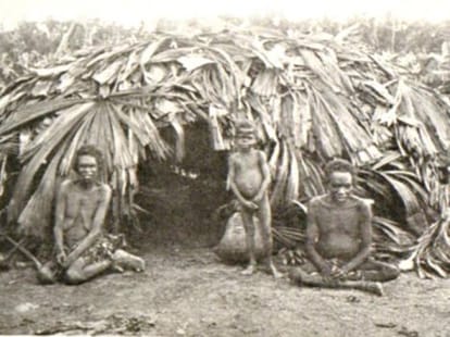 pygmy man ancestor origin found in india.