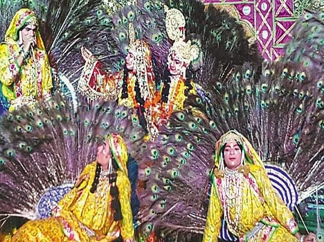 Deep , Peacock attracted by dance