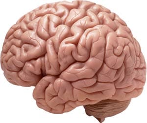 brain hamraiz, BSF, emoloyee, death