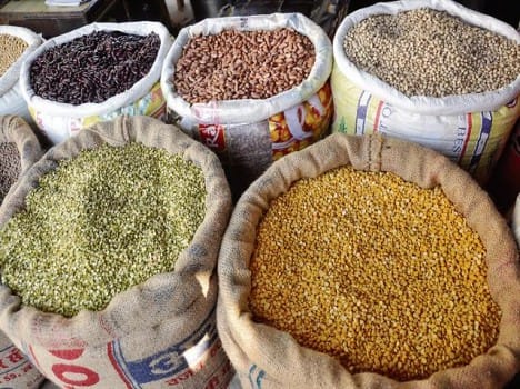 more pulses for ration card holders in himachal.