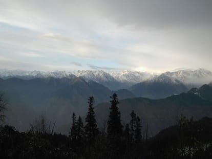 weather change in dehradun.