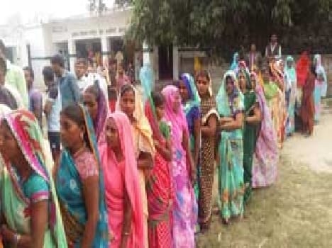 The fate of 2512 candidates not capture portfolio