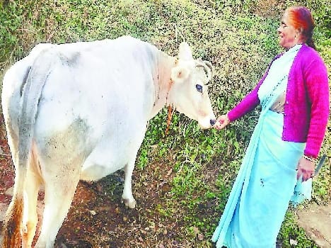 Champawat and cash received in Maneshwar