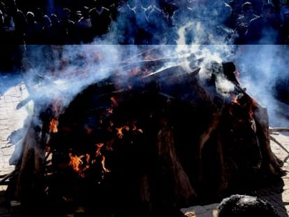 NGT said environmental pollution because of cremation, choose alternatives