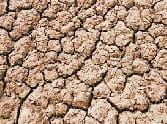 irrigation land is facing water crisis
