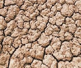 four lac canal agriculture land depends on rain