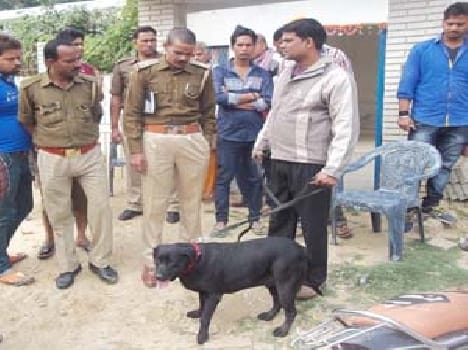 kaushambi news