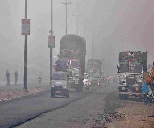 Fog havoc ? Travel miserable.