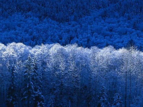 The weather changed the direction, chilly winds grew cold
