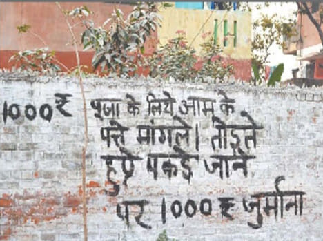 fine on plugging mango tree's leaves in ghaziabad