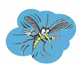 Four cases of dengue were admitted to Yashoda Hospital.