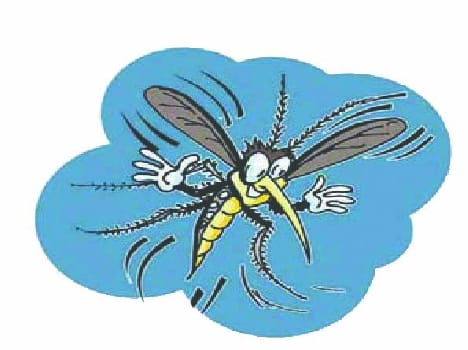 a dengue infected student died 