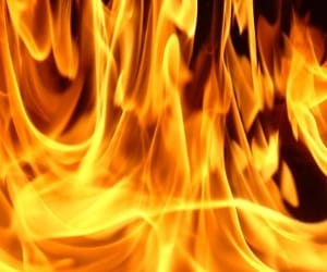 ardidhar jungle fire in control