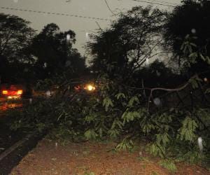 10 people died in up due to storm