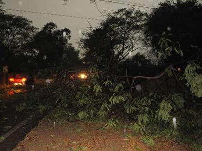 10 people died in up due to storm