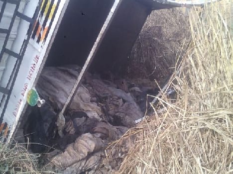 a container loaded with the skin of cows fall