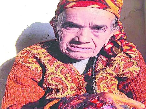 Ktkne monkey entered the house has old woman wounded