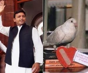 CM akhilesh inaugurates bird festival in lucknow