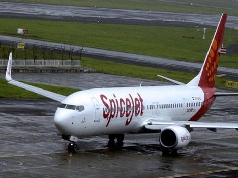 Madhya Pradesh: Wild boars on runway send SpiceJet plane off it