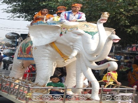 Bimal Acharya removed from the pomp of ocean travel Binauli