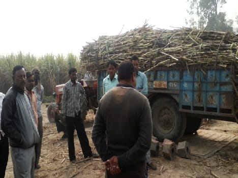 Farmers on Gttuli Bifre