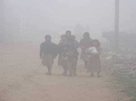 Stretched sheet of fog, the weather came shiver