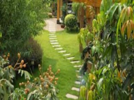 The Centre of Excellence will be opened in five districts gardening