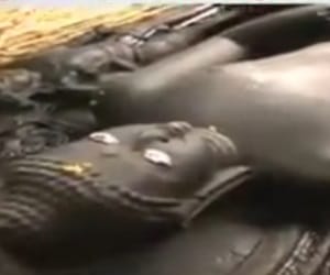 stolen statue of lord mahavir recovered after eight days