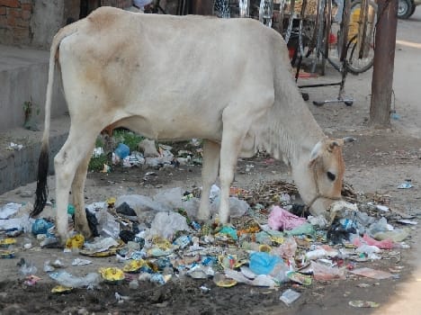 Polythene: Order so, how will it stop