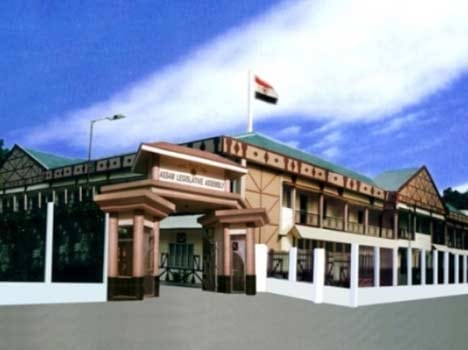 12 mla's of asam assembly suspended
