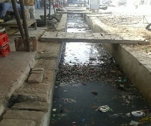 Black River are contaminated with 24 sewage.