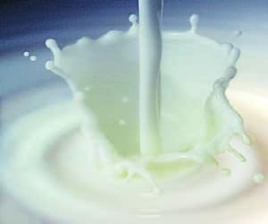 Mother Dairy milk found substandard.
