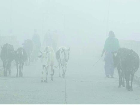 And hover mist grew cold