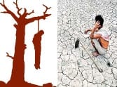 Debt-distressed farmers from the shock of death