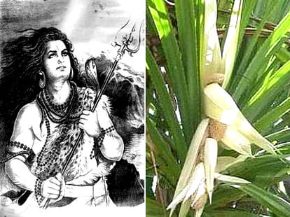 tulsi is prohibited in lord ganesha's worship and shankh water to shiv shankar